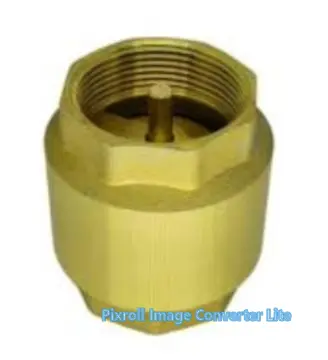 Imagem ilustrativa de Válvula De Retenção