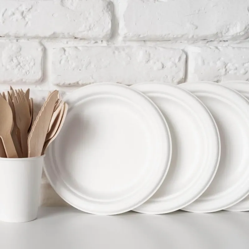 Prato Bagaço Cana de Açúcar 18cm Biodegradável - 1.000un