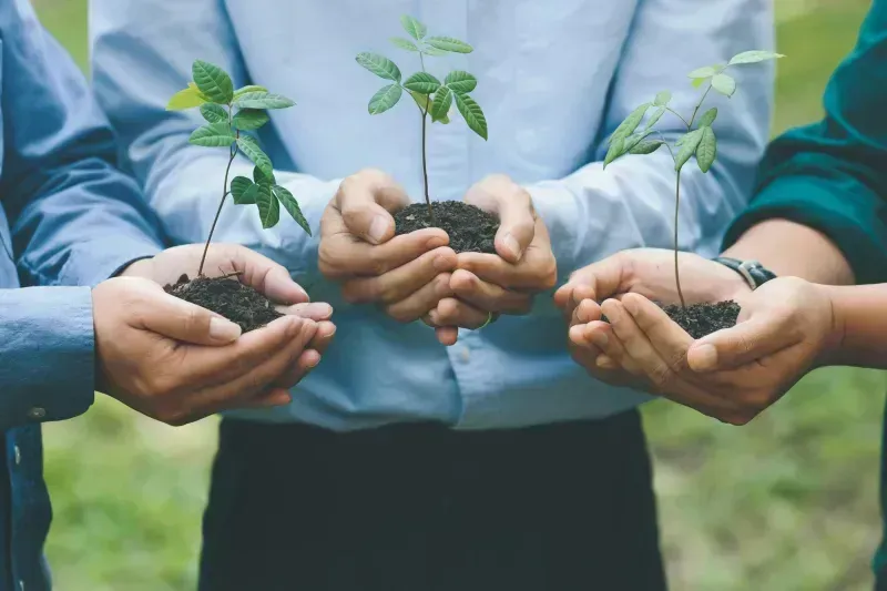 Facilities e sustentabilidade: aumente sua eficiência operacional
